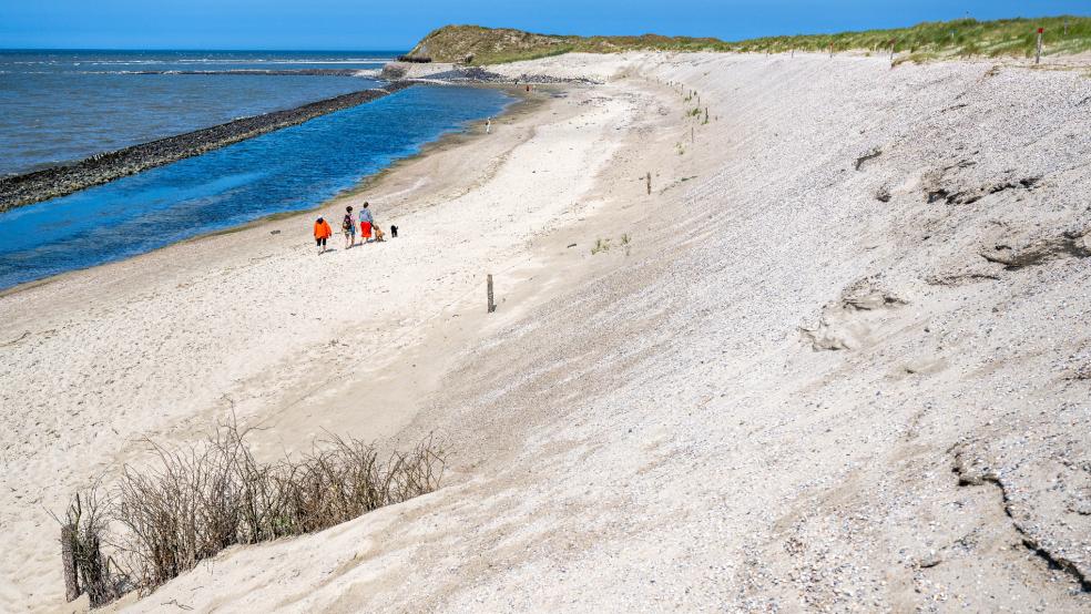 Die Schutzdüne im Westen der Insel Spiekeroog soll ab August verstärkt werden. © Schuldt (dpa)