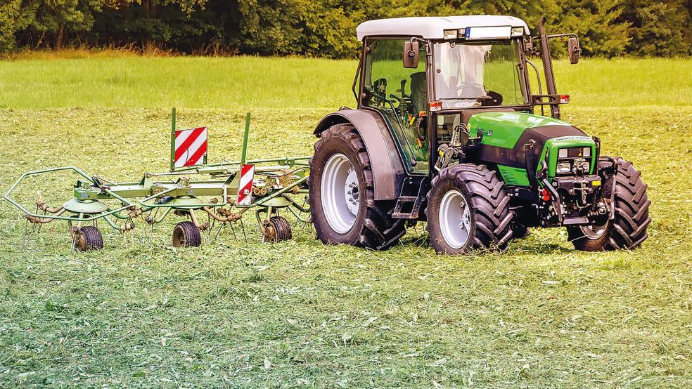 Auf den Grünlandflächen auch im Rheiderland ist der zweite Schnitt mittlerweile abgeschlossen, die Grünlandflächen wurden gemäht, um Silage als Winterfutter für die Kühe zu gewinnen.  © Foto: Pixabay
