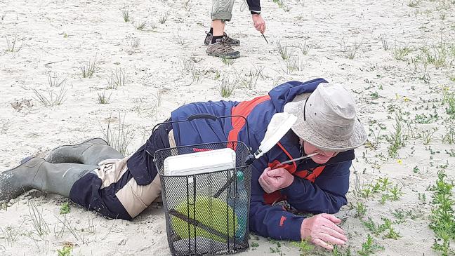 Trotz »Schietwetter« am »Tag der Artenvielfalt« viel entdeckt