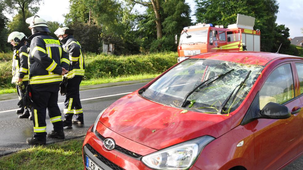 Glimpflich aus ging heute gegen 7.30 Uhr ein Unfall in Leer-Logabirum. Eine Autofahrerin landete mit ihrem Auto in einem Graben, sie wurde leicht verletzt. © Wolters