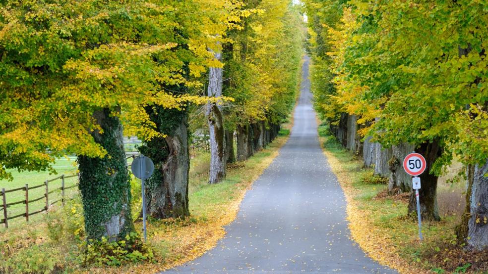 Tempo 50 gilt auch an dieser Straße, ebenso wie auf der Bokeler Sraße in Aschendorf. © Pixabay