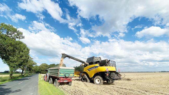 Ampel auf Grün für Mähdrescher