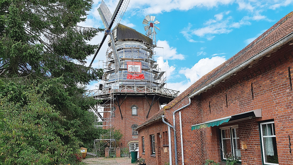 Der Achtkant des historischen Bauwerks ist eingerüstet, zum Monatsende werden die Mühlenbauer der Firma Molema aus dem niederländischen Heiligerlee erwartet.  © Foto: Szyska