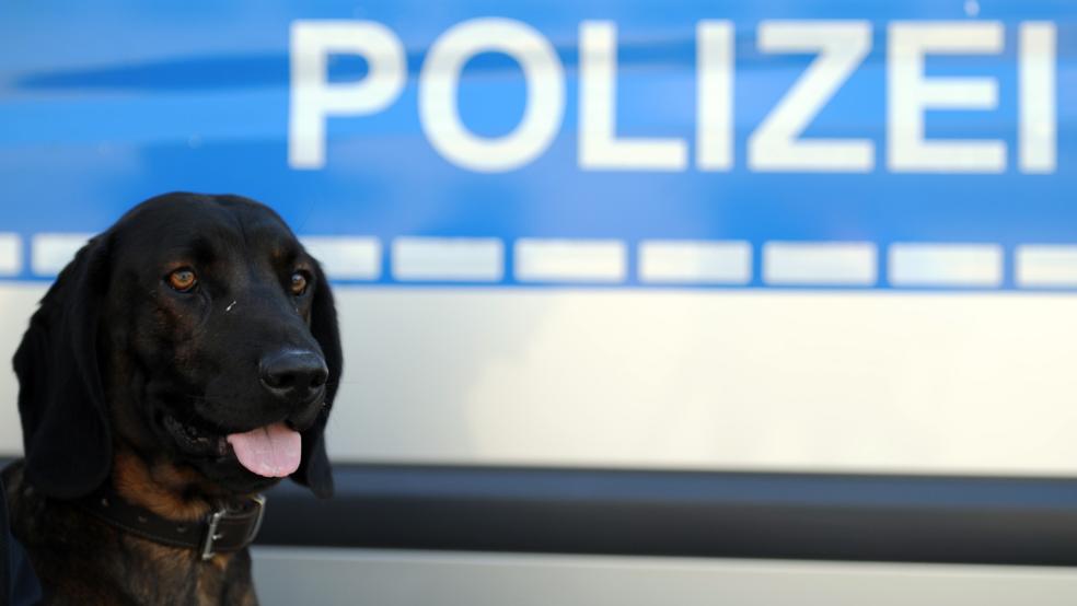Die Polizei setzte bei der Suche nach dem Unfallfahrer auch Spürhunde ein. © Reinhardt (dpa/Symbolfoto)