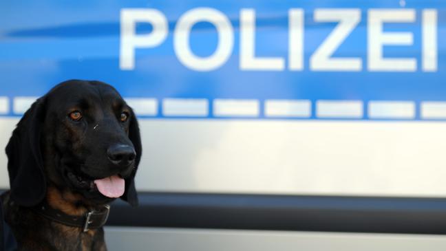 Polizei sucht Unfallfahrer mit Hunden und Drohne
