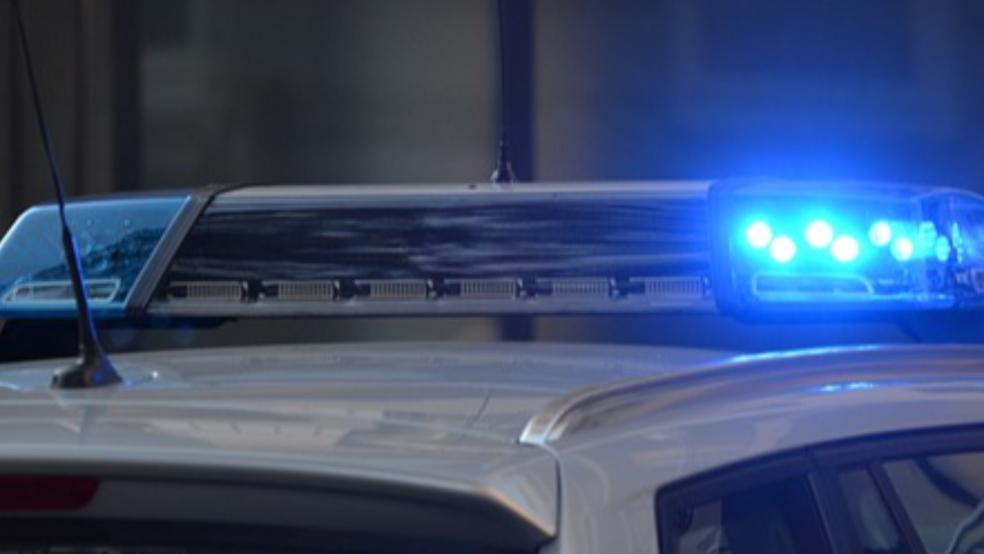 Die Polizei hatte es in Leer mit einem Randalierer zu tun. © Pixabay