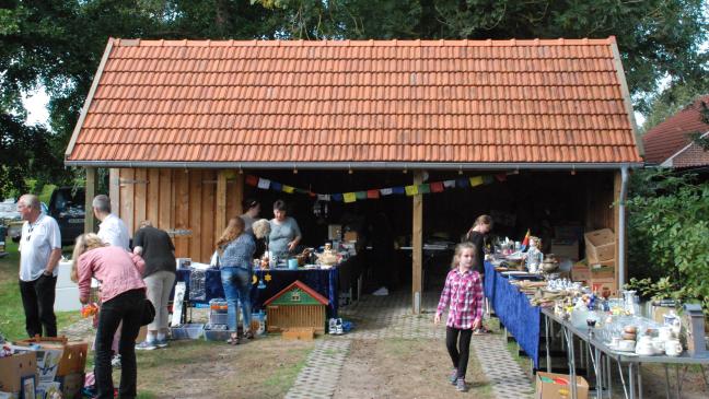 Die Streunerkatzen feiern Sommerfest