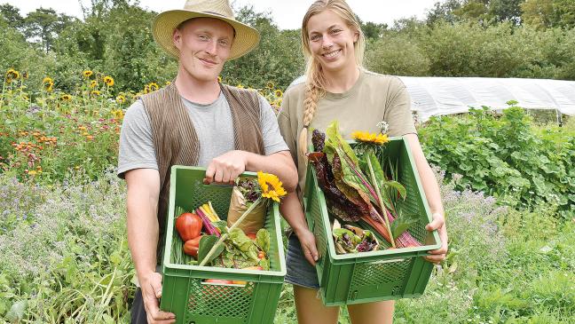 Solidarische Landwirtschaft kommt gut an