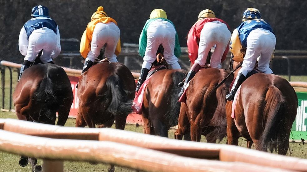 Der frühere Einsatz des Tieres als Rennpferd stelle keinen Mangel dar, entschied das Oberlandesgericht Oldenburg. © Pixabay (Symbolfoto)
