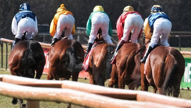 Früheres Rennpferd nicht weniger wert