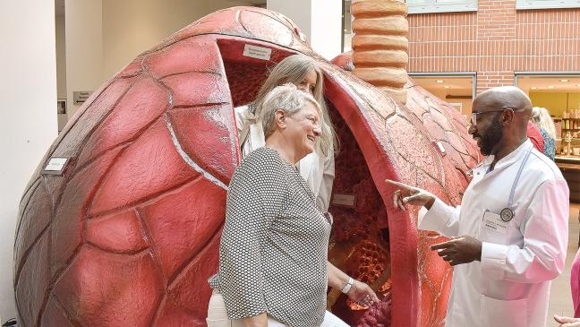 Gang durch die Lunge