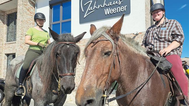 Therapie-Ritt aus Angst vorm Zahnarzt