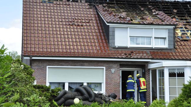 Drogenfarm: Zwei Männer in Verdacht