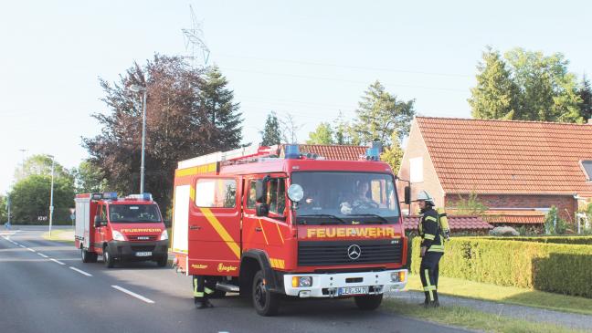 Stadt Weener plant eine Onlineauktion