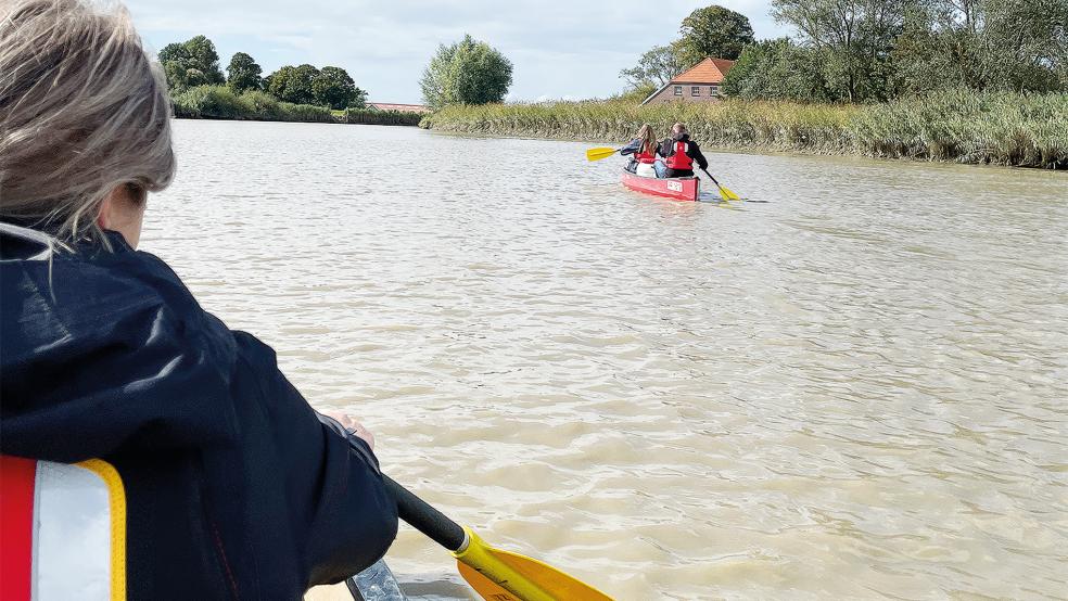 Das weitflächige Wassernetz Ostfrieslands kann bei der Paddeltour erkundet werden.  © Foto: TGSO