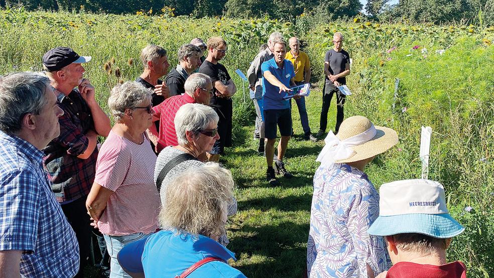 Gut 30 Teilnehmer überzeugten sich bei der Begehung von der guten Entwicklung der Blühstreifen am Weidenweg in Loga.  © Foto: Stadtwerke Leer