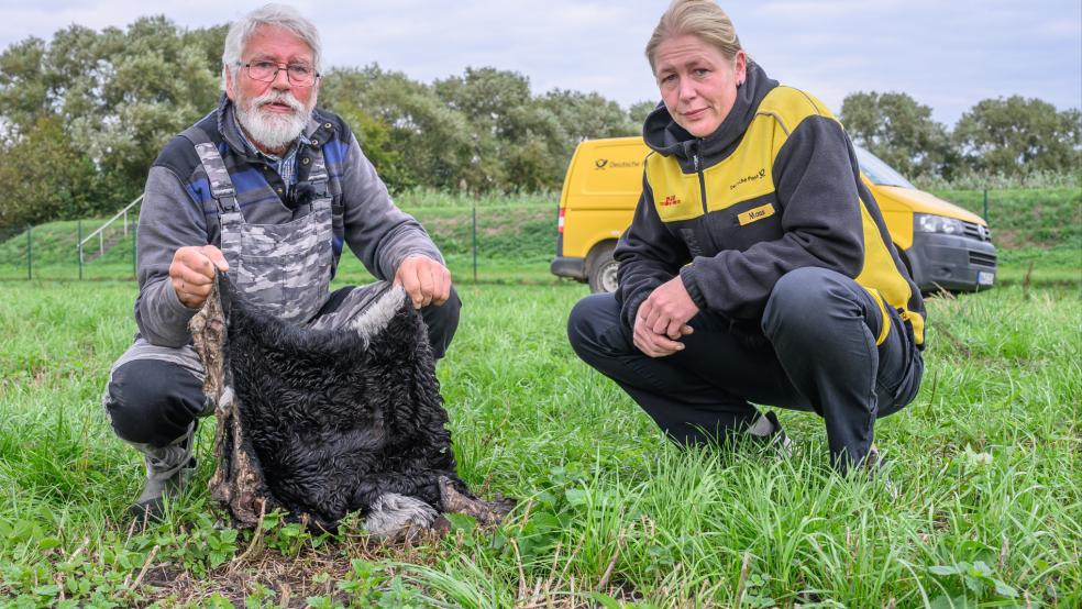 Von "Blacky" blieb nur das Fell übrig. Sabrina Maas trauert um ihr Schaf. Links im Bild ihr Vater Theo. © Bruins