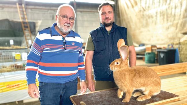 Kaninchen auf der Bootswerft Bültjer