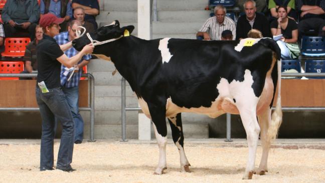 Geringer Milchpreis schwächt Nachfrage