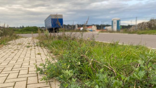 Fließt mit Strom auch Geld für Weener?