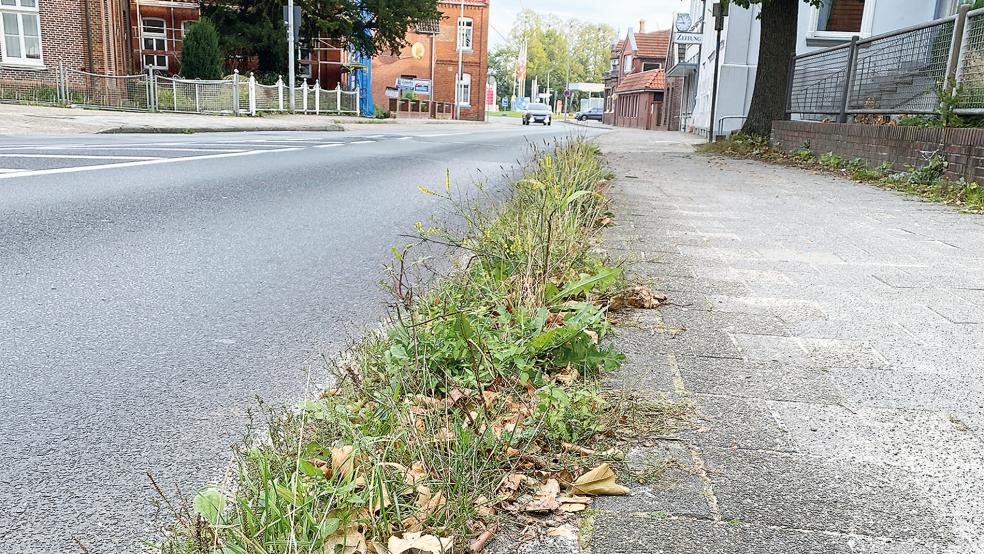 Unkraut wuchert in diesem Rinnstein an der Risiusstraße. Die Stadt geht nun gegen solche Missstände vor.  © Foto: Hanken