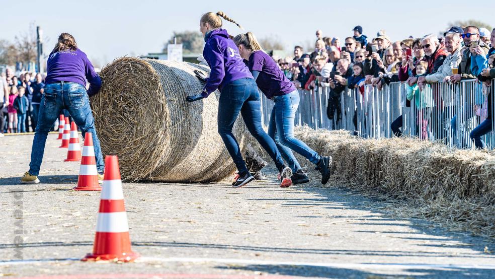 Das Rollen der Strohballen ist eine schweißtreibende Aufgabe.  © Foto: Lars Wehrmann (Tourismus GmbH)