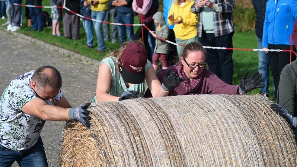 Der Rundballen wird den Deich 80 Meter hochgerollt. Zahlreiche Zuschauer verfolgen das Spektakel. 12. Strohballen-Rollmeisterschaft in Ostfriesland, Kraft, Geschick und Ausdauer sind bei der 12. Strohballen-Rollmeisterschaft im ostfriesischen Dornumersiel gefragt. In drei Disziplinen treten Viererteams im Wettbewerb um den Titel «Strohballen-Rollmeister» an, wie der Veranstalter, die Tourismus GmbH der Gemeinde Dornum im Landkreis Aurich, mitteilte.  © Penning/dpa