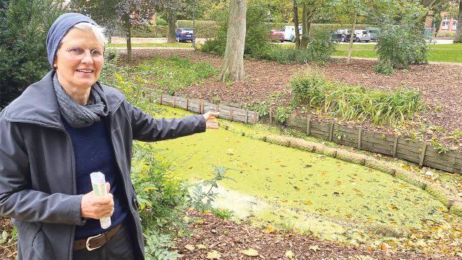 Stadtgarten soll weiter aufblühen