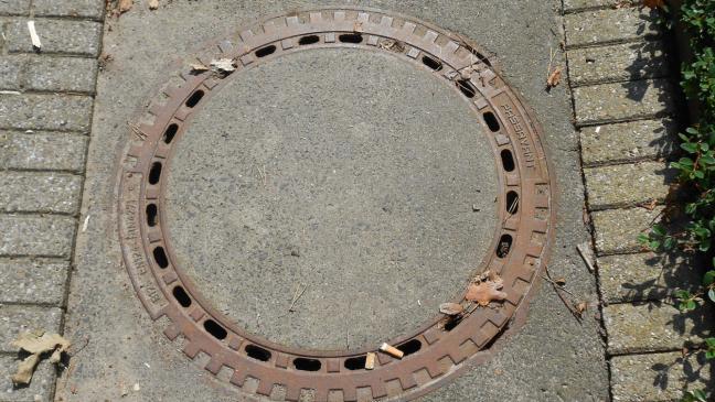 26-Jähriger wirft Kanaldeckel ins Hafenbecken