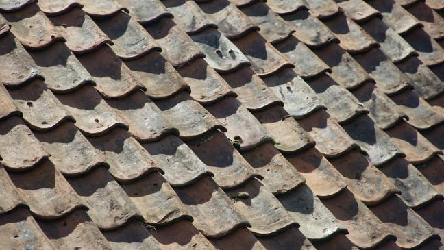 Dachziegel in Ditzum gestohlen