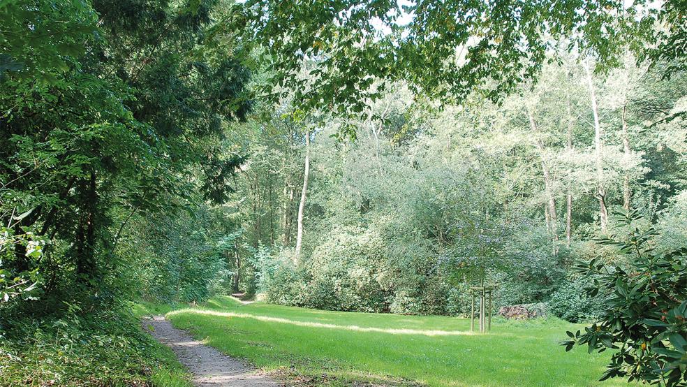 Im Winter sollen die Rückschnittarbeiten im Stapelmoorer Park beginnen. Diese Arbeiten sollen bis zum Frühjahr kommenden Jahres abgeschlossen sein. © Foto: Hoegen