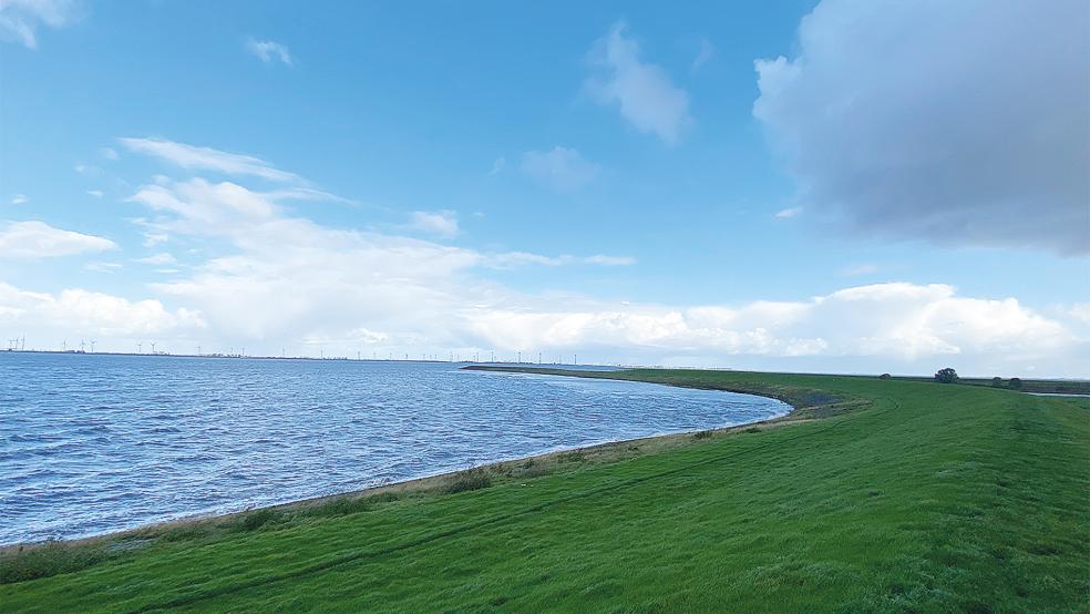 Der Emsdeich am Punt van Reide. Ein gemeinsames Deicherhöhungs-Projekt mit den niederländischen Nachbarn ist der Wunsch von Oberdeichrichter Meint Hensmann.  © Foto: Hanken