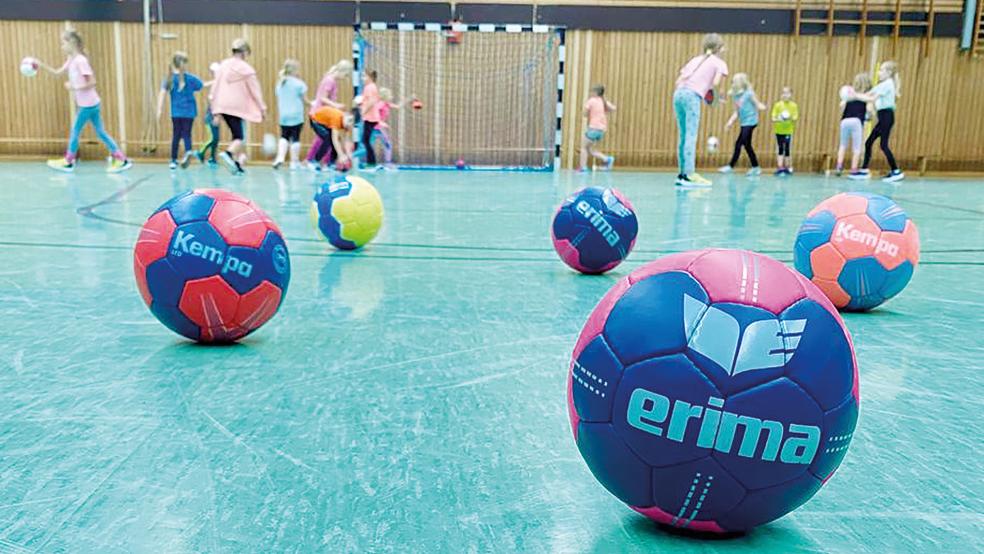 Die D-Junioren der Handball-Abteilung soll im Idealfall profitieren - hier wäre noch ein Trainer für das Team nötig.  © Foto: privat