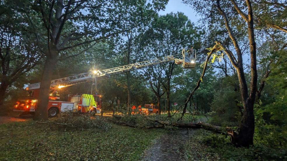 Die Auricher Feuerwehr war mit ihrer Drehleiter im Einsatz, um einen großen Ast zu beseitigen, der eine Gefahr für Fußgänger darstellte. © Feuerwehr