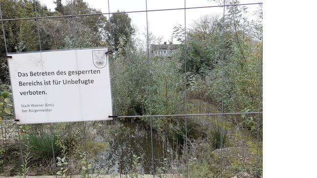 Bücherei-Bau rückt näher