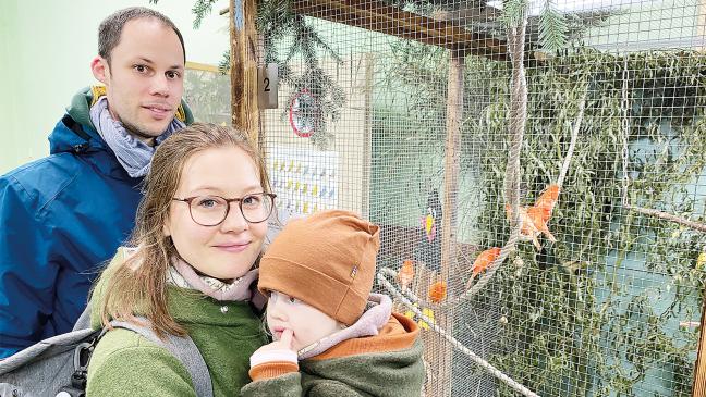 Kanarien, Sittiche und »Harry-Potter-Eulen«