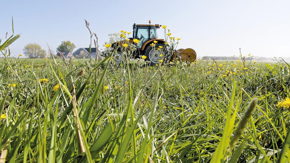 Eine Agrarfläche von 3987,9 Hektar wird im Landkreis Leer nach ökologischen Kriterien bewirtschaftet.  © Foto: Pixabay