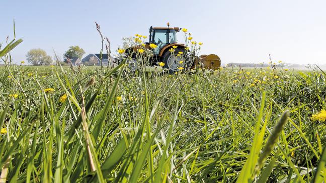 Öko-Landbau wächst langsam