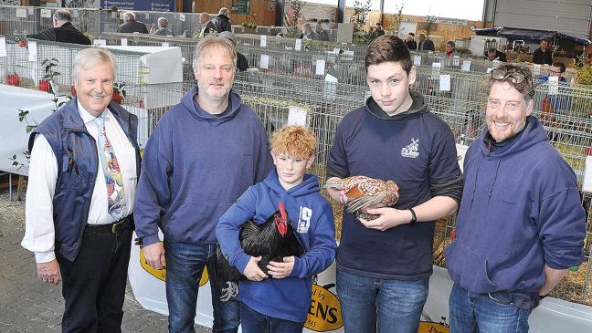 Federvieh zeigt sich in seiner ganzen Pracht