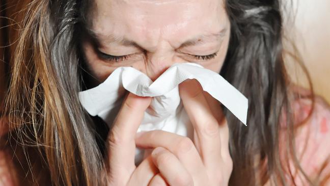 Im Landkreis schnieft und keucht es