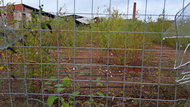 Holzkajak aus ehemaliger Ziegelei entwendet