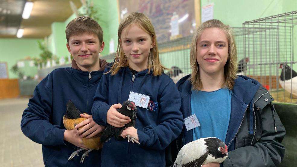 Eine Familie im Zuchtfieber: Die drei Enkelkinder vom langjährigen Züchter Gerhard Niemann aus Holthusen, Sönke Sonnenberg (links), Enne und Max Niemann beteiligten sich an der Jugendschau.  © Foto: Kuper