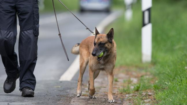 Polizei sucht nun mit Spürhunden nach Vermisstem