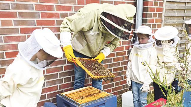 Grundschule sucht Imker
