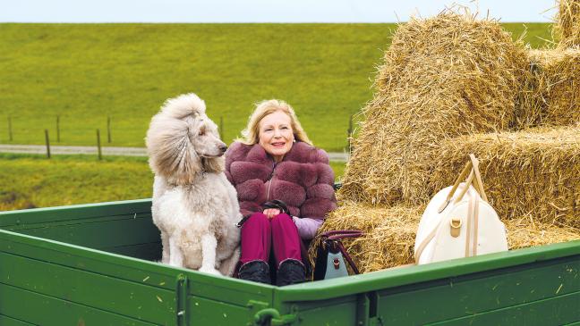 ZDF-Filme mit vielen Szenen im Rheiderland