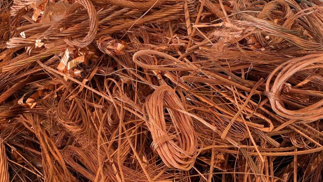 Großer Kupferklau in Emden