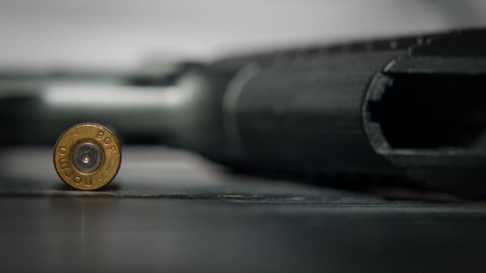 Aus einer Waffe löste sich ein Schuss. War es Notwehr? © Pixabay