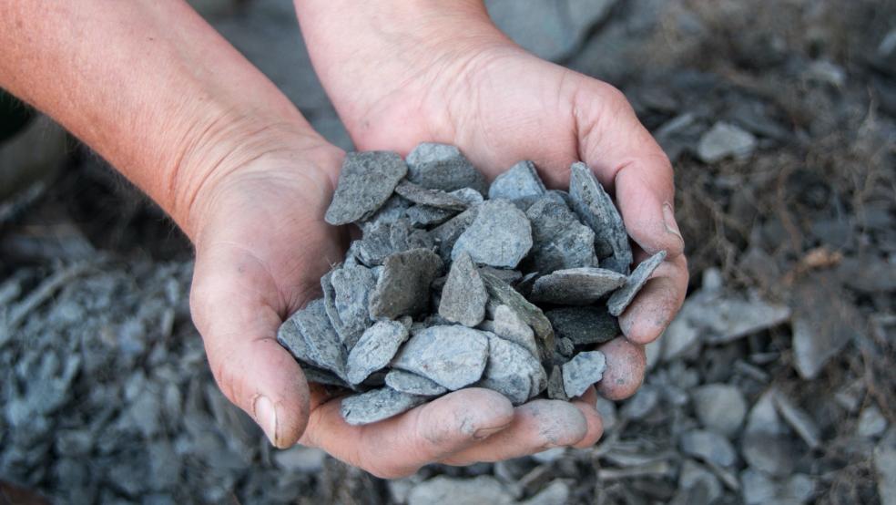 Schottergärten sollen im Kreis Leer beseitigt werden. © dpa