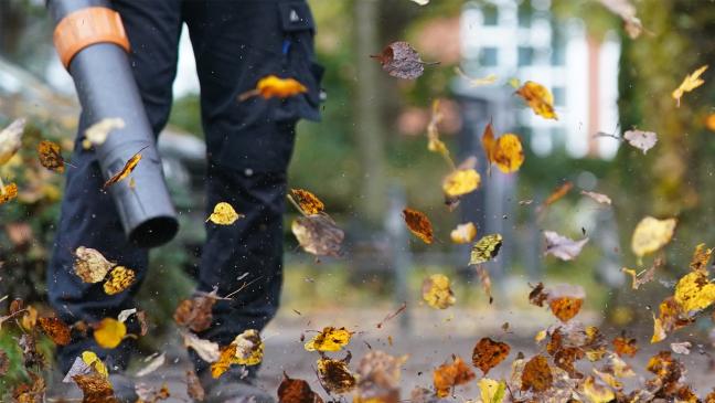Laubbläser in Stapelmoor gestohlen