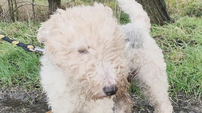 »Charly« muss gefördert werden